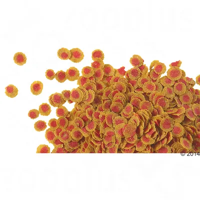 Gulröda fiskfoderflingor i närbild, rund form med röd mitt synlig. Ingen förpackning eller text visas.