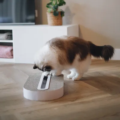 District 70 Scratch Furniture Track