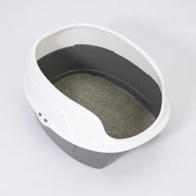 zooplus Basics kattenbak met rand - grijs / wit