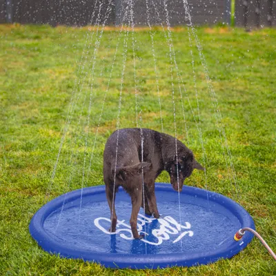 Beeztees sprinklermatta Stay Cool, blå