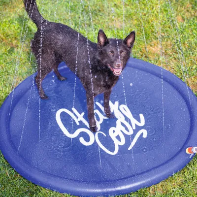 Beeztees спринклерный коврик Stay Cool, синий Beeztees спринклерный коврик Stay Cool, синий