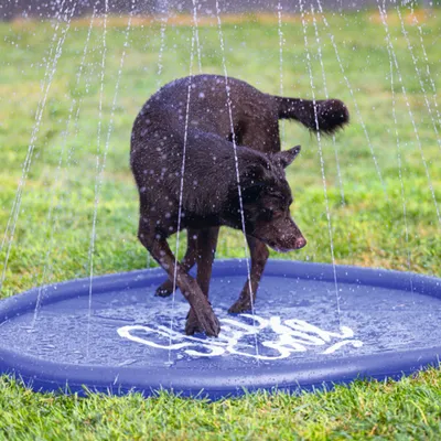 Beeztees sprinklermatta Stay Cool, blå