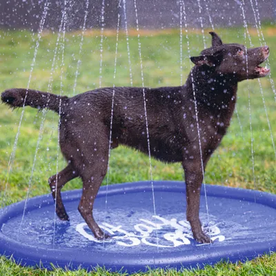 Beeztees sprinklermatta Stay Cool, blå