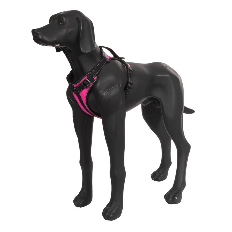 Rukka Geschirr Solid, fuchsia