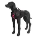 Rukka Geschirr Solid, fuchsia