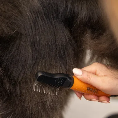 Hand houdt een oranje kam met metalen tanden en kamt door dikke, donkere vacht. Hand houdt een oranje kam met metalen tanden en kamt door dikke, donkere vacht.