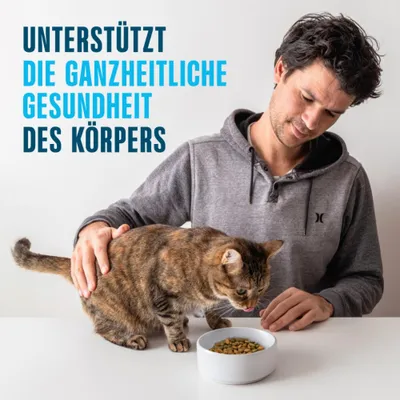 Perfect Fit Mixpaket