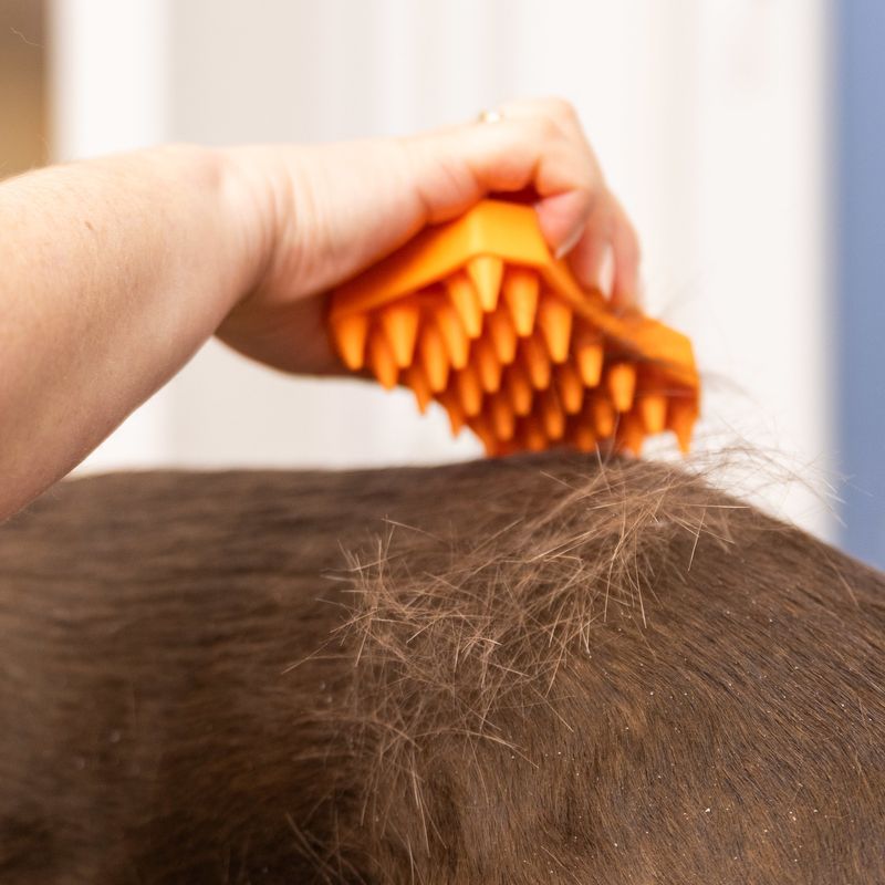 WAHL® gummiborste Sheddy