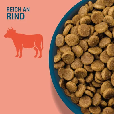 Perfect Fit Adult Hund (<10 kg) mit Rind