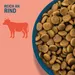 Perfect Fit Adult Hund (<10 kg) mit Rind