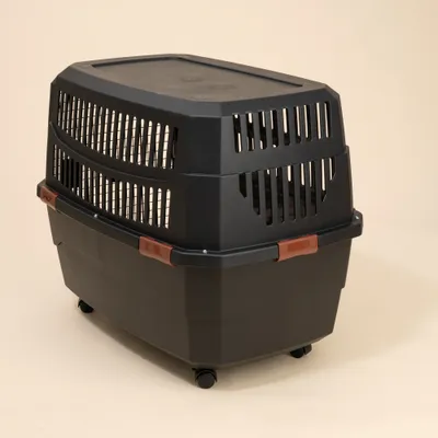 TIAKI caisse de transport avec roulettes, noire - Taille XL : L 102 x l 71 x H 67 cm TIAKI caisse de transport avec roulettes, noire - Taille XL : L 102 x l 71 x H 67 cm