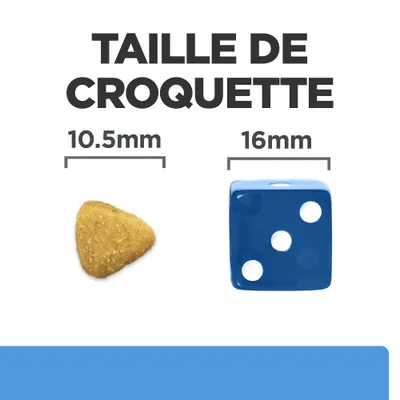 Taille de croquette : croquette triangulaire 10,5 mm à côté d’un dé bleu 16 mm pour comparaison visuelle des dimensions.