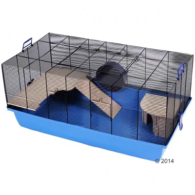 Skyline gnagerbur Barney