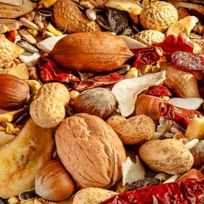 Versele-Laga Prestige Parrots Exotic Nuts Versele-Laga Prestige Parrots Exotic Nuts