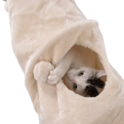 Kat in beige pluche kattentunnel met ronde opening en pluche speelbal, materiaal: stof. Kat kijkt uit de tunnel en raakt de bal aan.