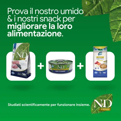 N&D Prime crocchette, alimento umido agnello & mirtillo e snack. Sviluppato per migliorare l'alimentazione. Scientificamente bilanciato. N&D Prime crocchette, alimento umido agnello & mirtillo e snack. Sviluppato per migliorare l'alimentazione. Scientificamente bilanciato.