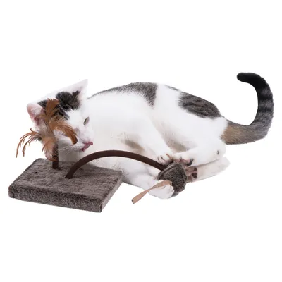 White and black cat lying beside a brown plush base with an arch, feather toy, and mouse-shaped toy attached. All items visibly made of fabric and faux fur.