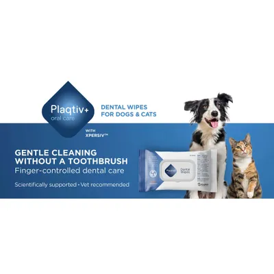 Plaqitv+ oral care Dental Wipes til hunde og katte. Skånsom rengøring uden tandbørste, fingerstyret tandpleje, videnskabeligt understøttet, anbefalet af dyrlæger. Plaqitv+ oral care Dental Wipes til hunde og katte. Skånsom rengøring uden tandbørste, fingerstyret tandpleje, videnskabeligt understøttet, anbefalet af dyrlæger.