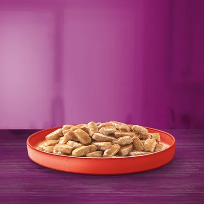 Chunks of wet pet food in gravy served on a red plate, shown to display product texture and appearance.