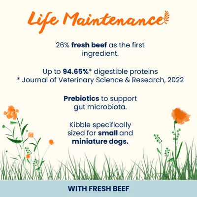 Almo Nature Life Maintenance Small Adult Beef & Rice Almo Nature Life Maintenance Small Adult Beef & Rice