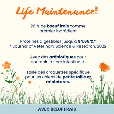 26 % de bœuf frais comme ingrédient principal, protéines digestibles jusqu'à 94,65 %, avec des prébiotiques pour soutenir la flore intestinale, croquettes spéciales pour petits chiens et chiens miniatures.
