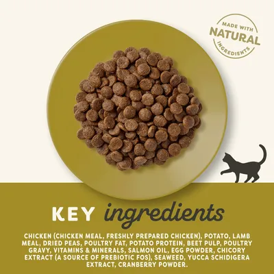 Pienso para gatos en plato verde. Texto visible: 'MADE WITH NATURAL INGREDIENTS', 'KEY ingredients'. Ingredientes principales en inglés, incluye pollo, patata, cordero, guisantes, salmón.