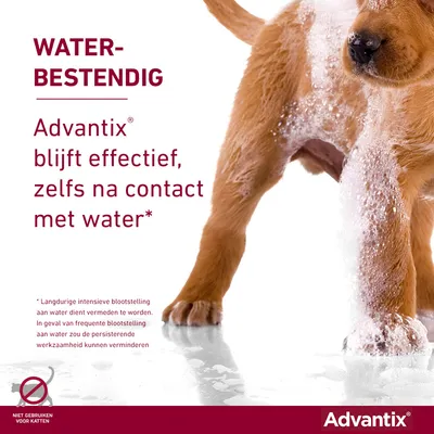 WATERBESTENDIG. Advantix blijft effectief, zelfs na contact met water. Niet gebruiken voor katten. Advantix merknaam zichtbaar.