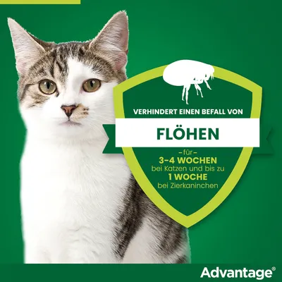 Advantage. Verhindert einen Befall von Flöhen für 3-4 Wochen bei Katzen und bis zu 1 Woche bei Zierkaninchen.