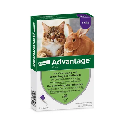 Elanco Advantage 80 mg. Zur Vorbeugung und Behandlung des Flohbefalls bei großen Katzen und Zierkaninchen ab 4 kg Körpergewicht. Lösung zum Auftropfen auf die Haut, Packung mit 4 x 0,8 ml.