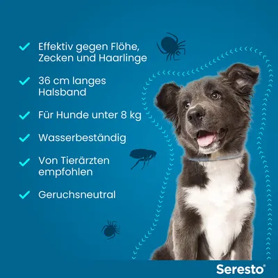 Seresto Halsband: Effektiv gegen Flöhe, Zecken und Haarlinge. 36 cm lang, für Hunde unter 8 kg, wasserbeständig, von Tierärzten empfohlen, geruchsneutral.