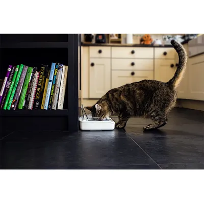 Cat eating from an automatic feeder placed on a kitchen floor, demonstrating product use in a home environment.