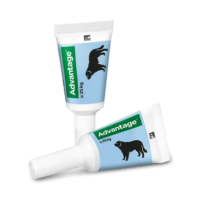 Deux tubes Advantage, étiquette bleue avec silhouette de chien noir et texte « ≥25 kg » visible sur chaque tube.