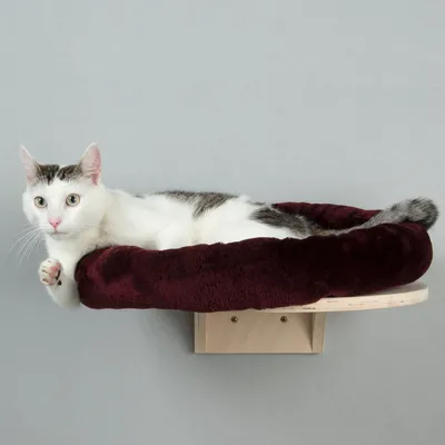 Chat blanc et gris allongé sur un panier mural rond en bois avec coussin bordeaux, fixé au mur. Matériaux visibles : bois et tissu.