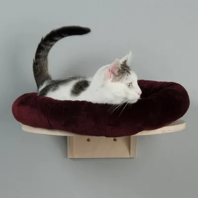 Chat allongé sur un coussin rond en tissu bordeaux fixé à une étagère murale en bois clair, support visible sous la plateforme.