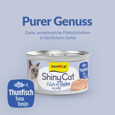 Sparpaket GimCat ShinyCat Filet in Jelly 24 x 70 g Sparpaket GimCat ShinyCat Filet in Jelly 24 x 70 g