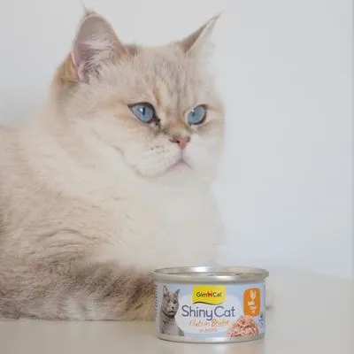GimCat ShinyCat kattenvoer 6 x 70 g