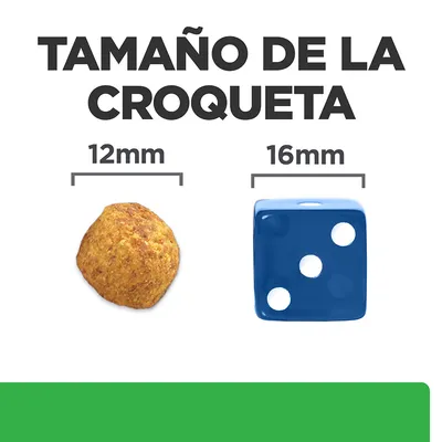 Tamaño de la croqueta: comparación visual entre una croqueta de 12 mm y un dado azul de 16 mm. Texto visible: 'TAMAÑO DE LA CROQUETA', '12 mm', '16 mm'.