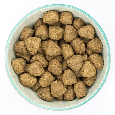 Bowl filled with triangular-shaped dry pet food pieces, showing size and texture of the kibble.