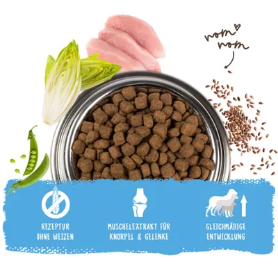 Trockenfutter mit Erbsen, Chicorée, Huhn und Leinsamen. Hinweise: Rezeptur ohne Weizen, Muschelextrakt für Knorpel & Gelenke, gleichmäßige Entwicklung. Trockenfutter mit Erbsen, Chicorée, Huhn und Leinsamen. Hinweise: Rezeptur ohne Weizen, Muschelextrakt für Knorpel & Gelenke, gleichmäßige Entwicklung.