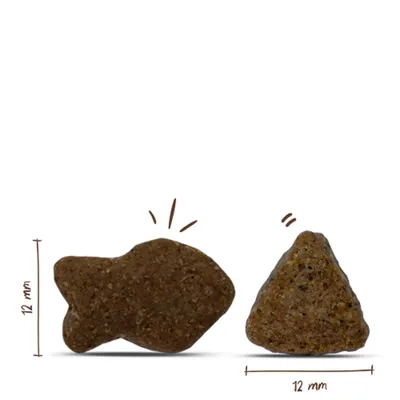 Zwei unterschiedlich geformte Futterstücke, jeweils 12 mm groß, mit Maßangaben für Höhe und Breite. Zwei unterschiedlich geformte Futterstücke, jeweils 12 mm groß, mit Maßangaben für Höhe und Breite.