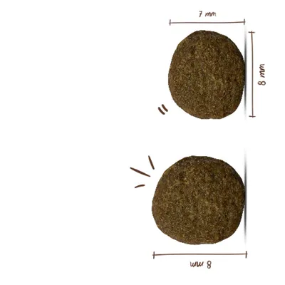 bosch Hvalpepakke: Hvalpefoder + legetøj, snacks & hvalpeskål! - 7,5 kg Puppy + legetøj, snacks & skål bosch Hvalpepakke: Hvalpefoder + legetøj, snacks & hvalpeskål! - 7,5 kg Puppy + legetøj, snacks & skål