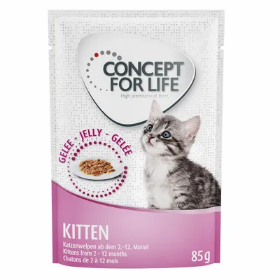 Concept for Life Kitten Gelee, Katzenwelpen ab dem 2.-12. Monat, 85g. High premium cat food.