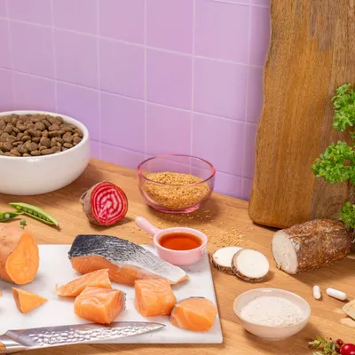 Pooch and Mutt Health & Digestion