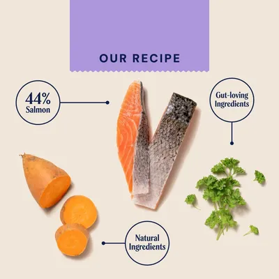 Pooch and Mutt Health & Digestion