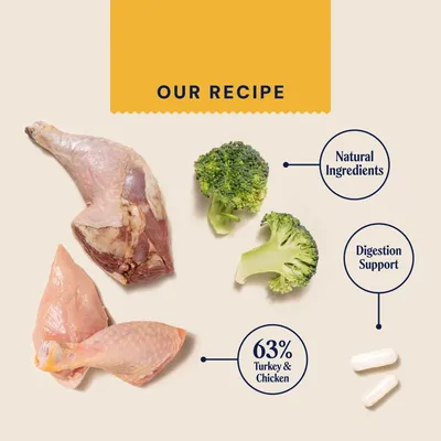 Pooch and Mutt Wet Dog Food - Turkey & Chicken