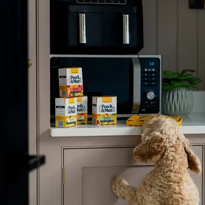 Pooch and Mutt Wet Dog Food - Multipack