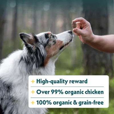 Yarrah Bio Crispy Rewards kemencében szárítva - 150 g Yarrah Bio Crispy Rewards kemencében szárítva - 150 g
