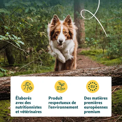 Développé avec des experts en nutrition et des vétérinaires, produit écologique, matières premières premium provenant d'Europe.