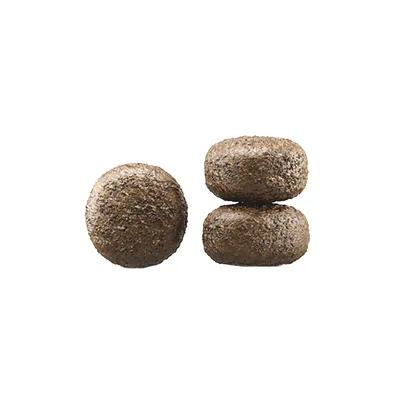 Trois croquettes rondes de couleur brune, présentées sur fond blanc, montrant la forme et la texture du produit.