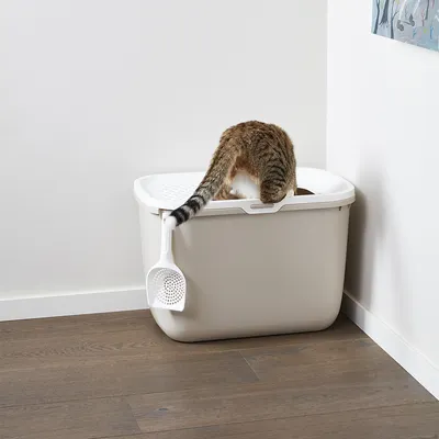 Caja de arena para gatos con tapa blanca y pala integrada, gato usando la caja de arena.